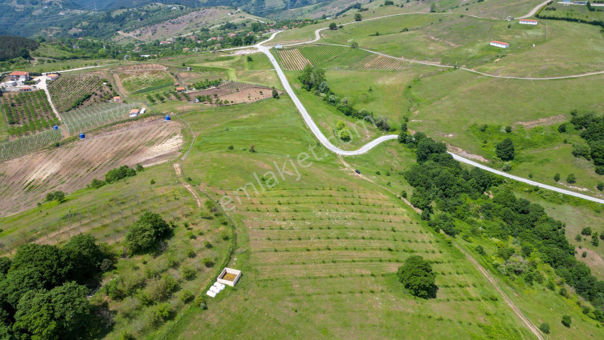 Uzmanlar'dan Fulacık %5 İmarlı 7532 M2 Satılık Tarla - Görsel 6