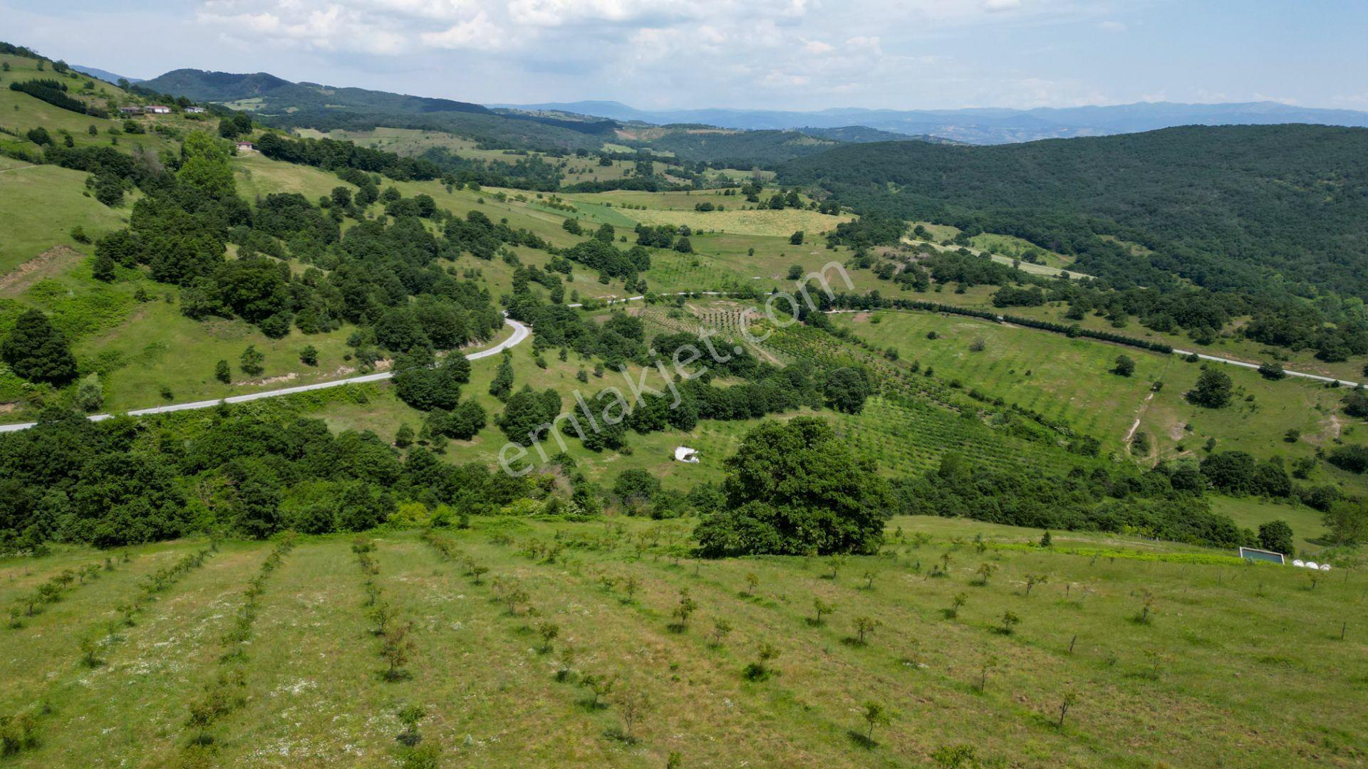 Uzmanlar'dan Fulacık %5 İmarlı 7532 M2 Satılık Tarla - Görsel 11