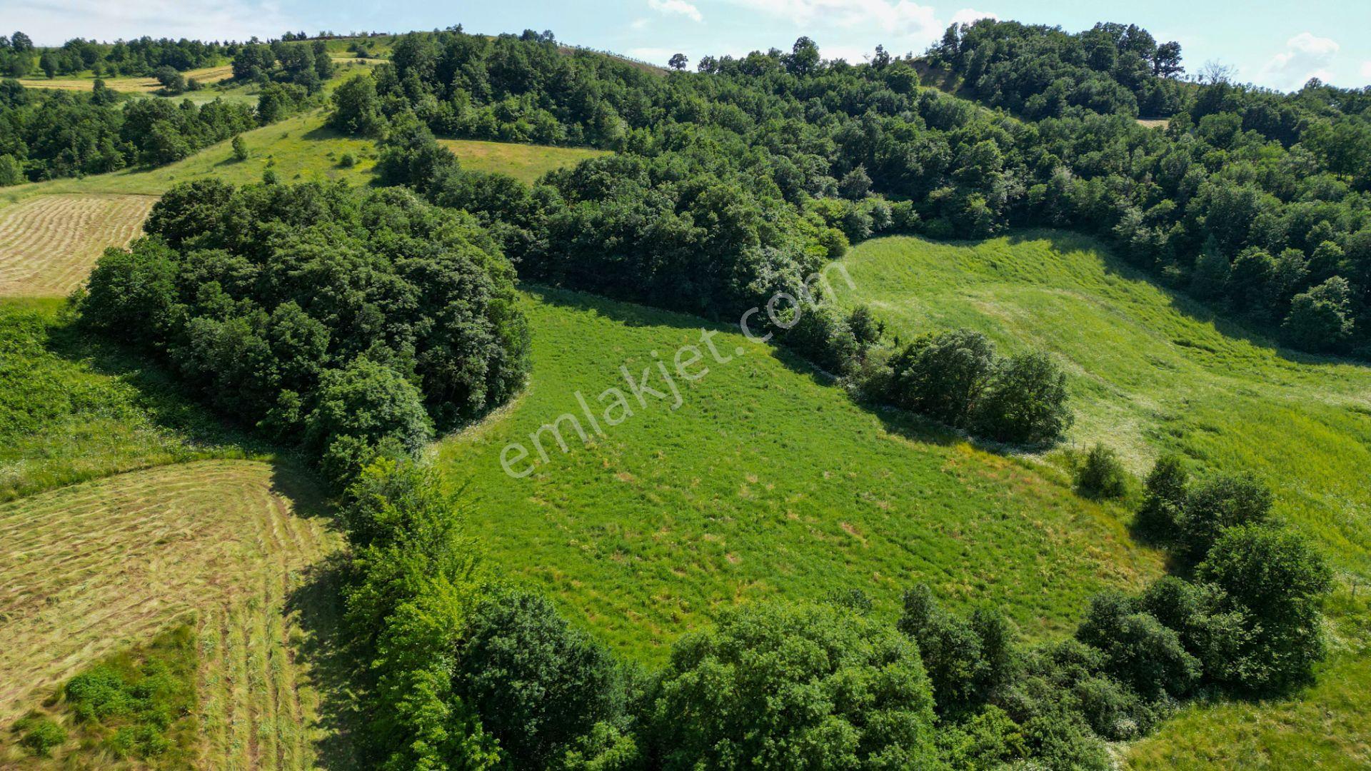 Kocaeli Karamürsel Yalakdere Satılık 10.416 M2 Satılık Tarla - Görsel 12