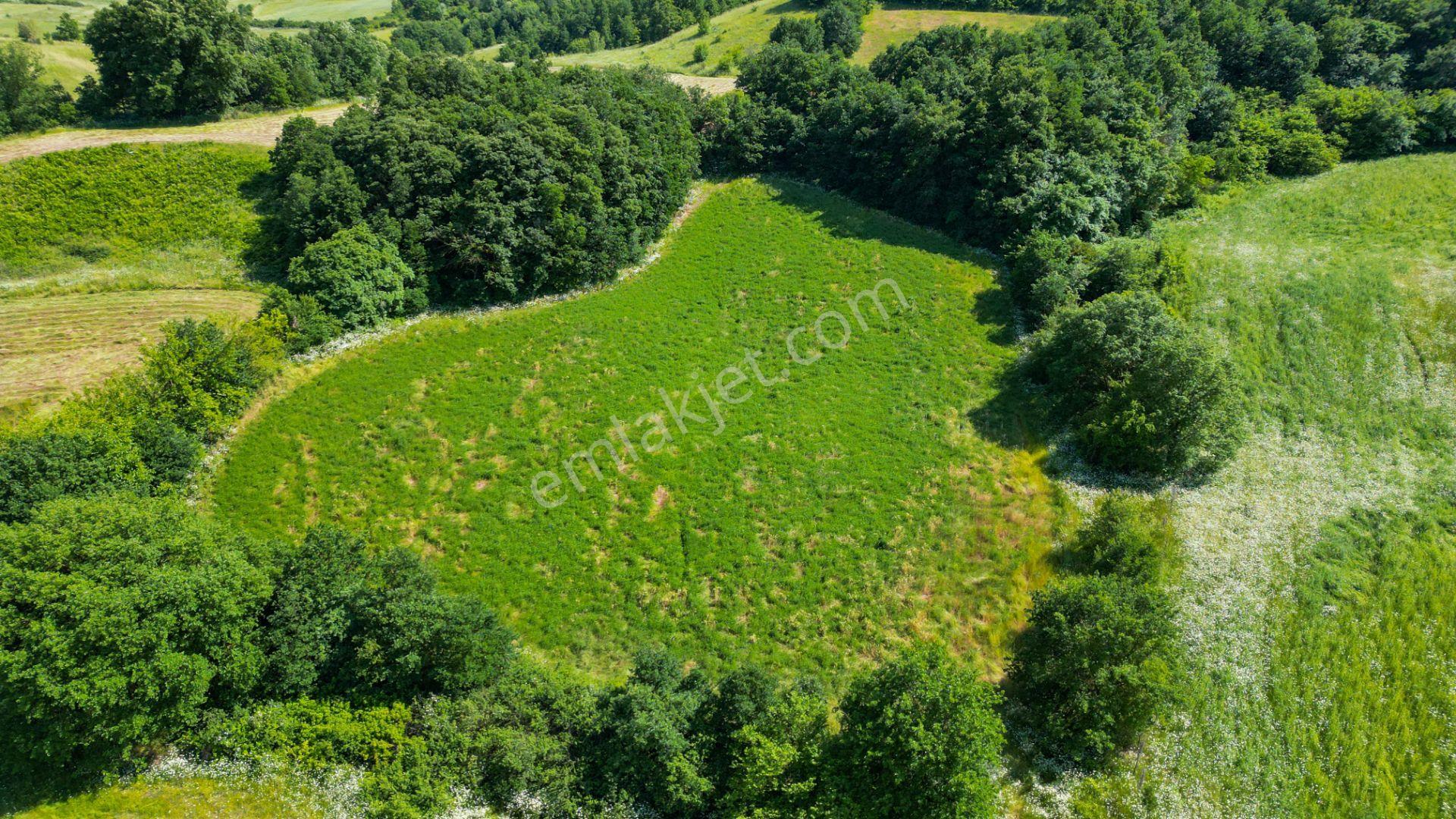 Kocaeli Karamürsel Yalakdere Satılık 10.416 M2 Satılık Tarla - Görsel 9
