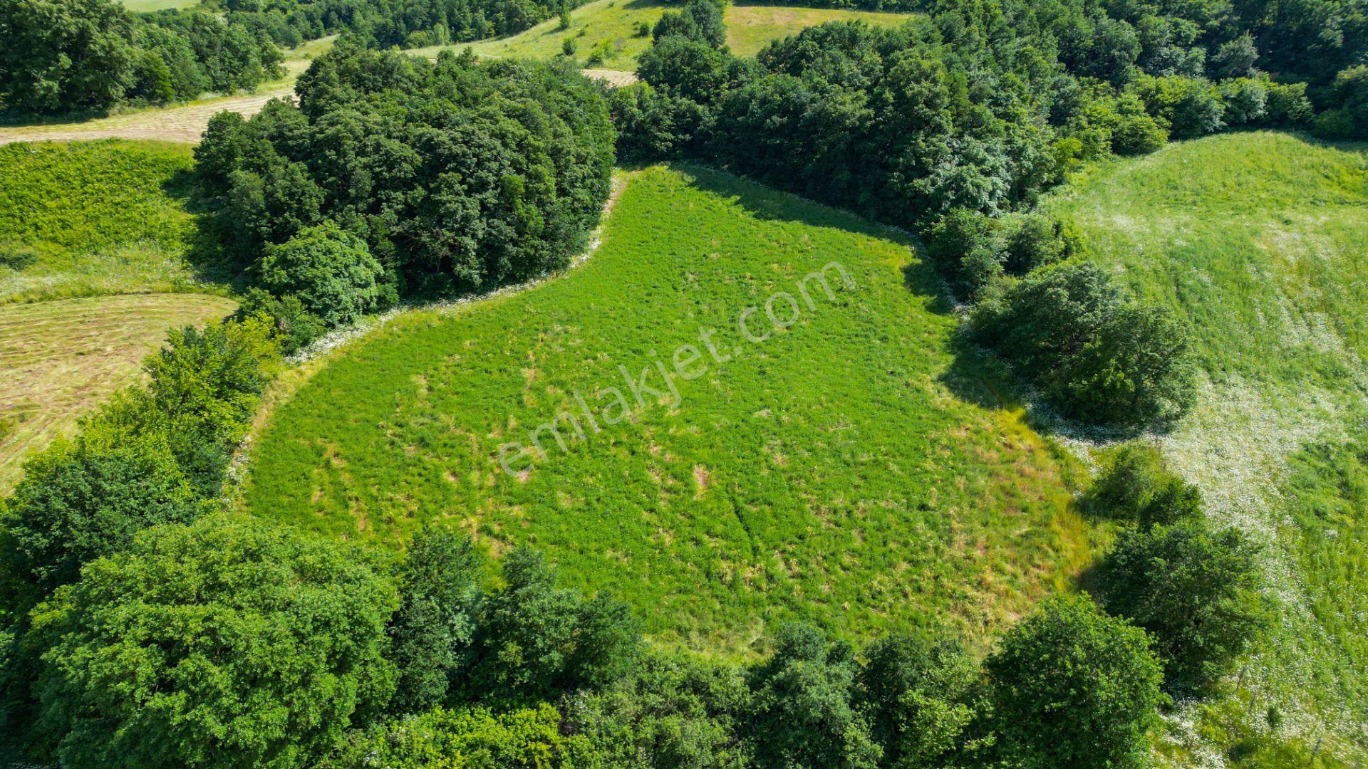 Kocaeli Karamürsel Yalakdere Satılık 10.416 M2 Satılık Tarla - Görsel 10
