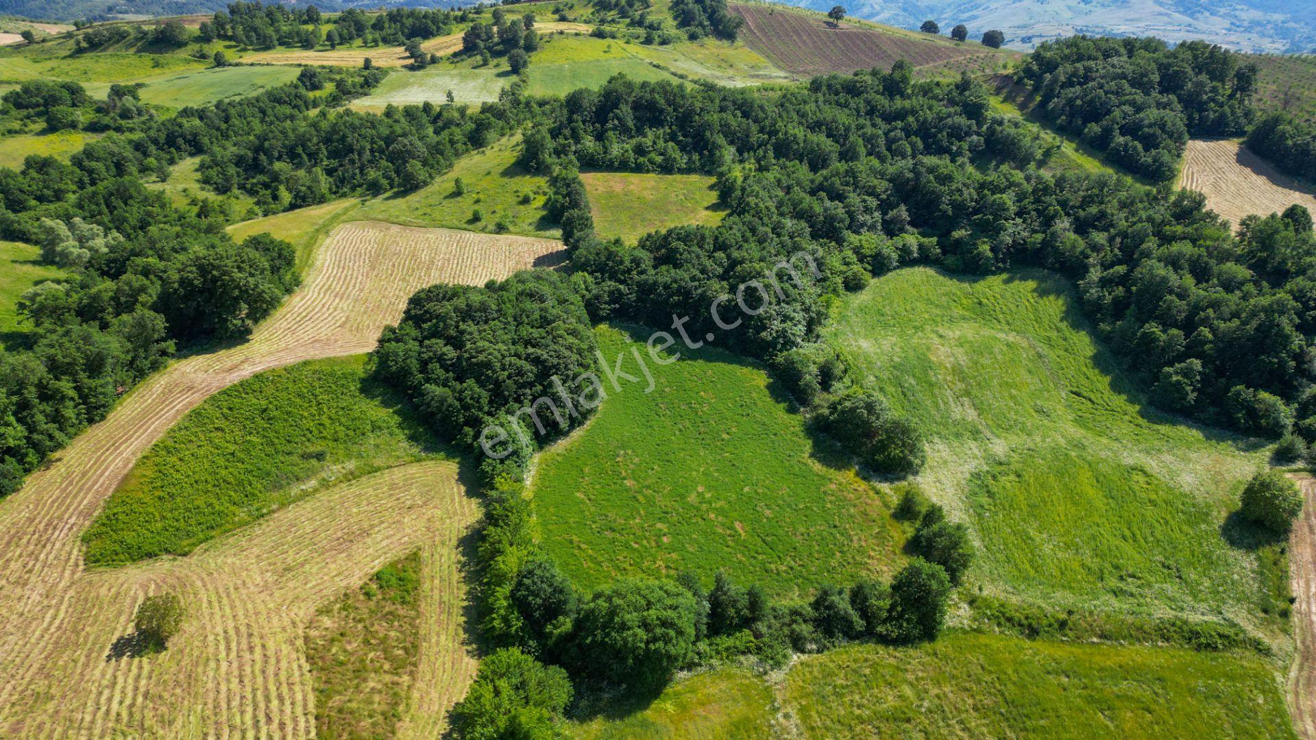 Kocaeli Karamürsel Yalakdere Satılık 10.416 M2 Satılık Tarla - Görsel 2