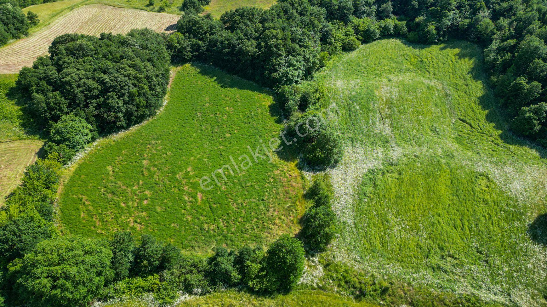 Kocaeli Karamürsel Yalakdere Satılık 10.416 M2 Satılık Tarla - Görsel 8