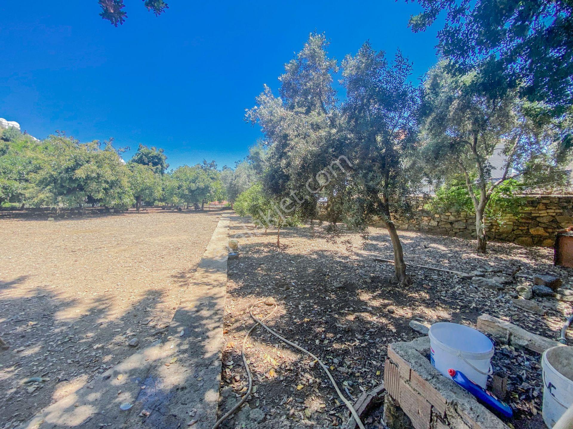 Alanya Oba Mahallesinde Satlık 504 M2 İmarlı Arsa - Görsel 6
