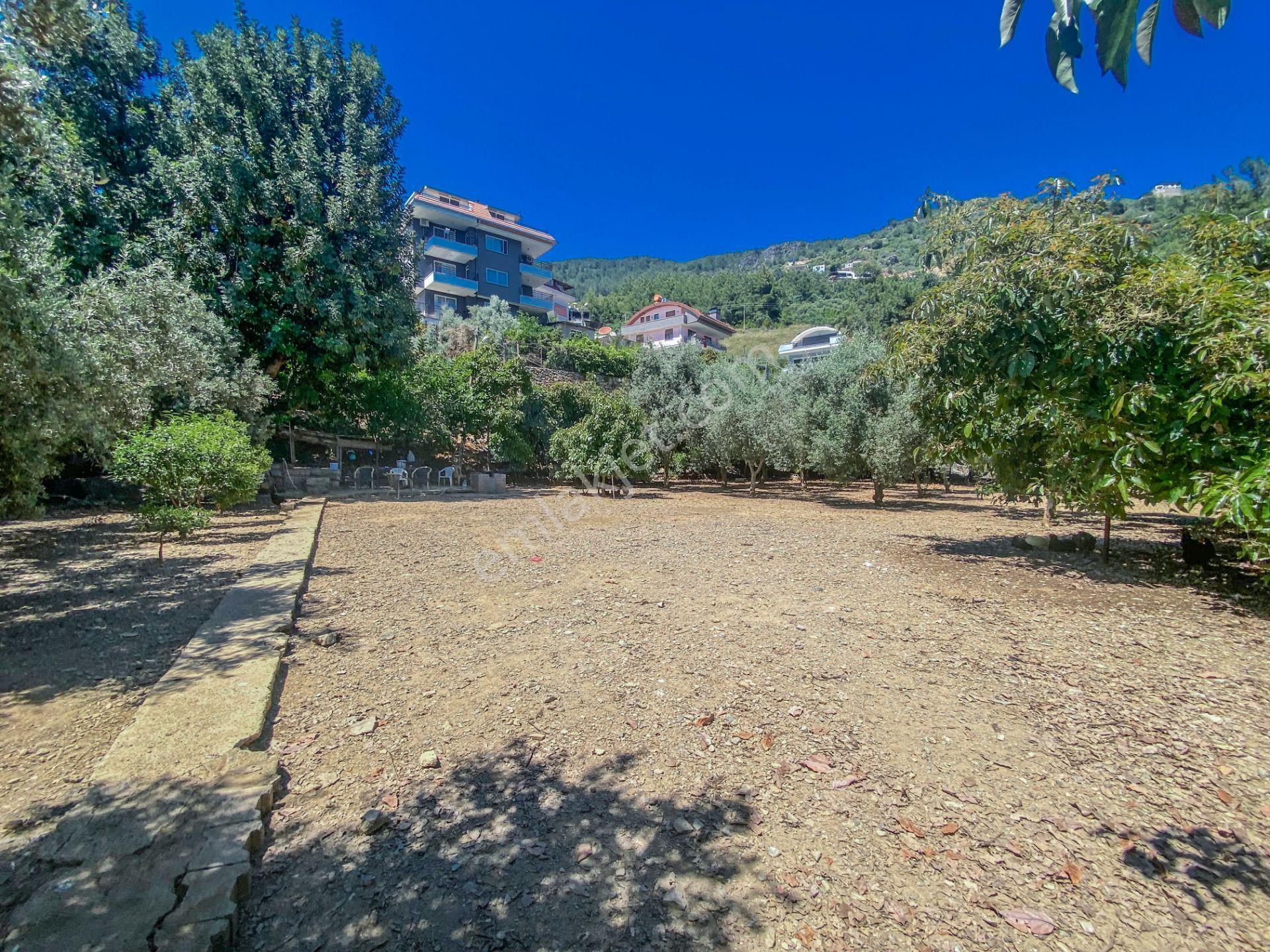 Alanya Oba Mahallesinde Satlık 504 M2 İmarlı Arsa - Görsel 10