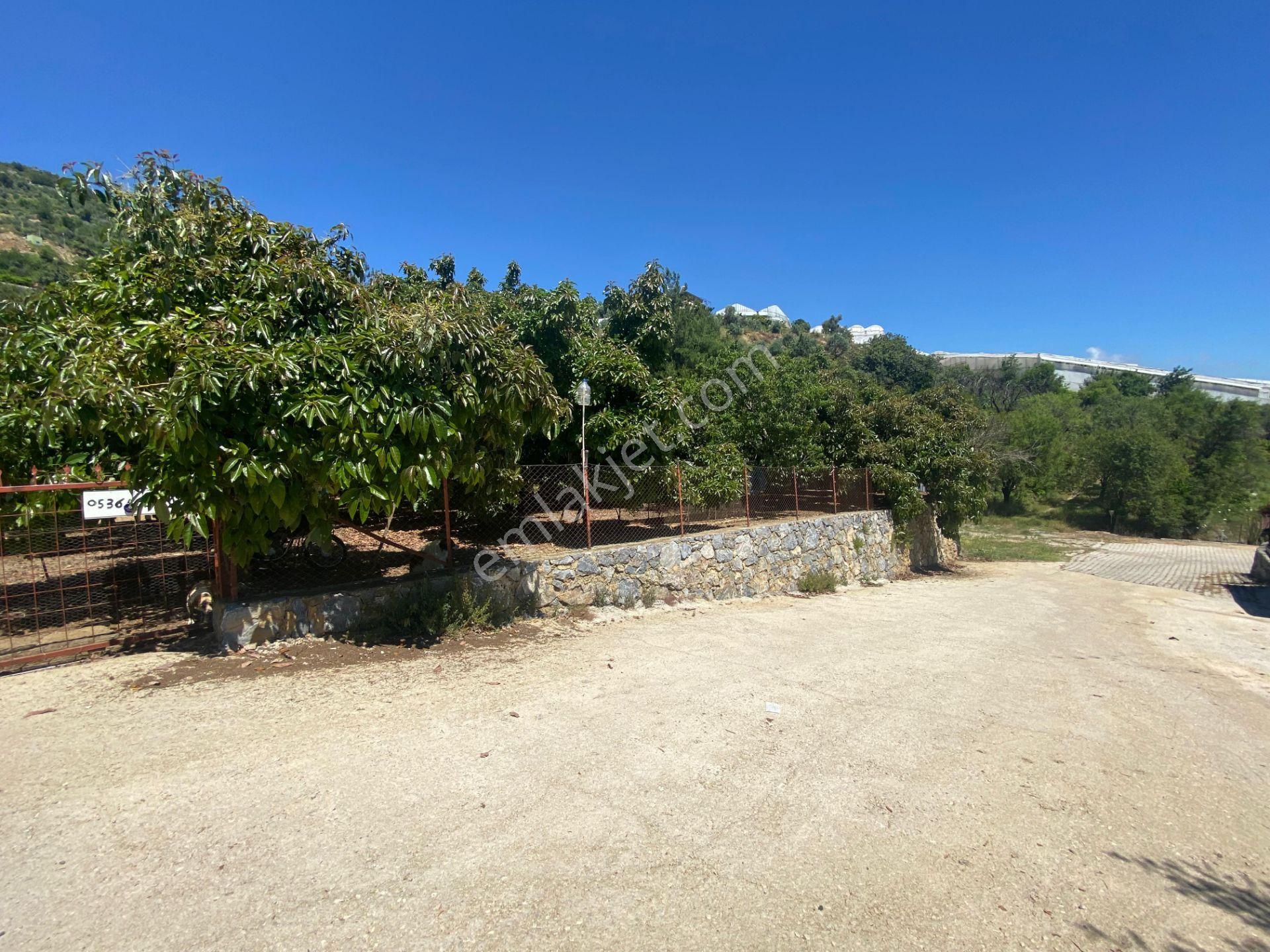 Alanya Oba Mahallesinde Satlık 504 M2 İmarlı Arsa - Görsel 12