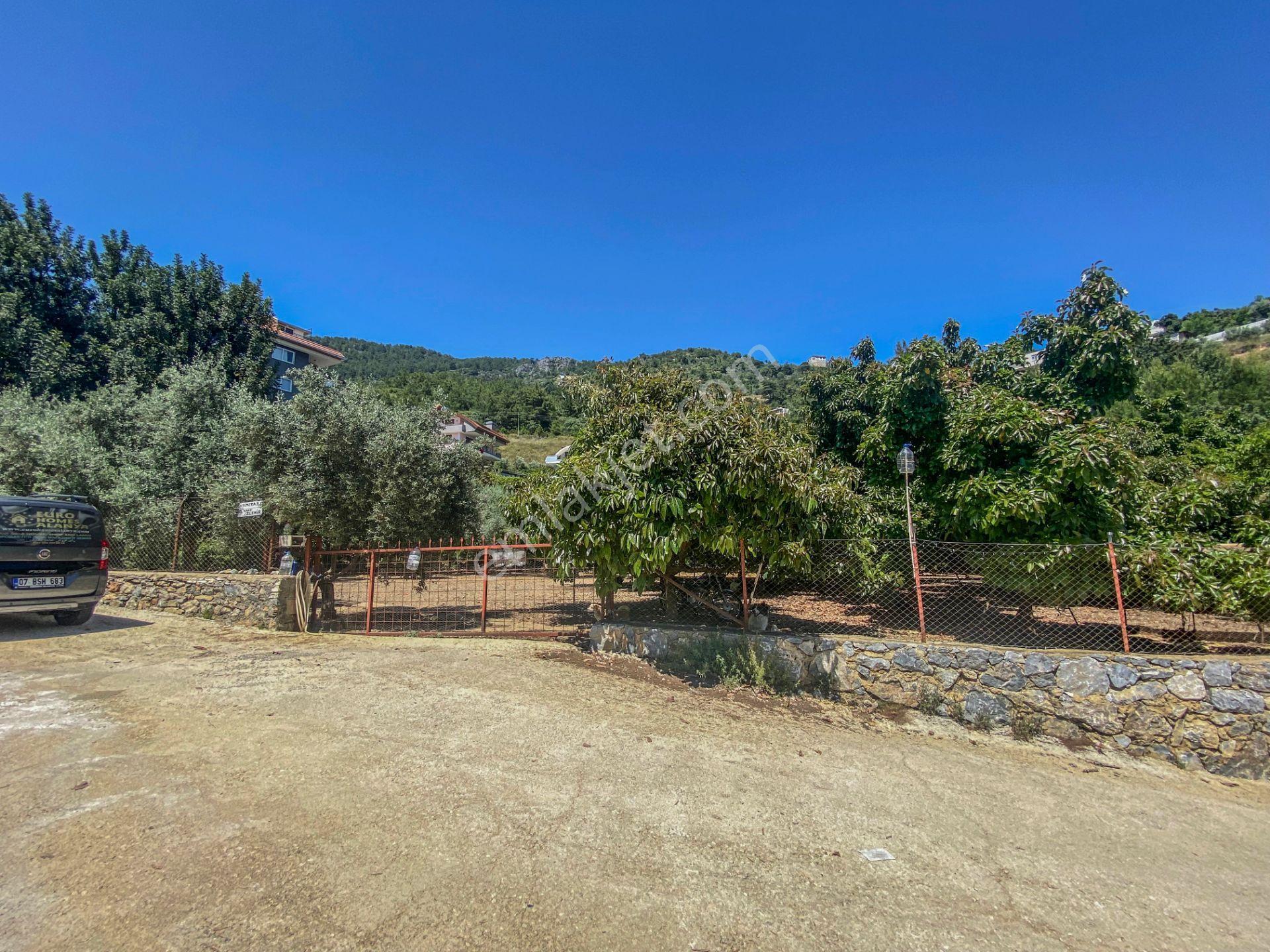 Alanya Oba Mahallesinde Satlık 504 M2 İmarlı Arsa - Görsel 11