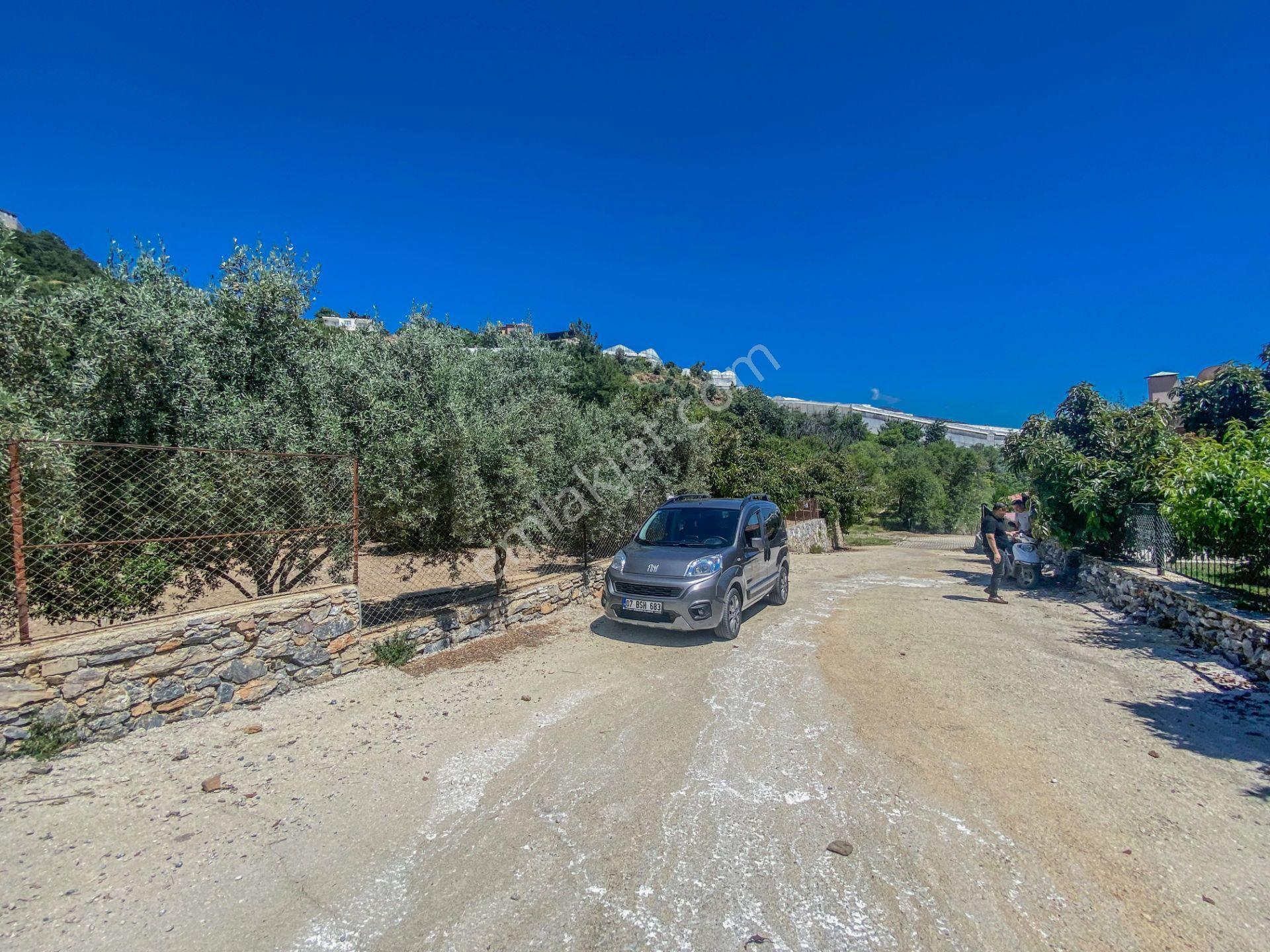 Alanya Oba Mahallesinde Satlık 504 M2 İmarlı Arsa - Görsel 5