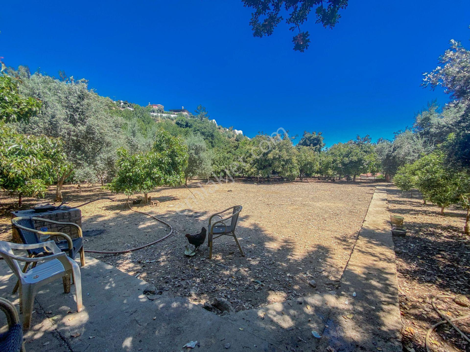 Alanya Oba Mahallesinde Satlık 504 M2 İmarlı Arsa - Görsel 8