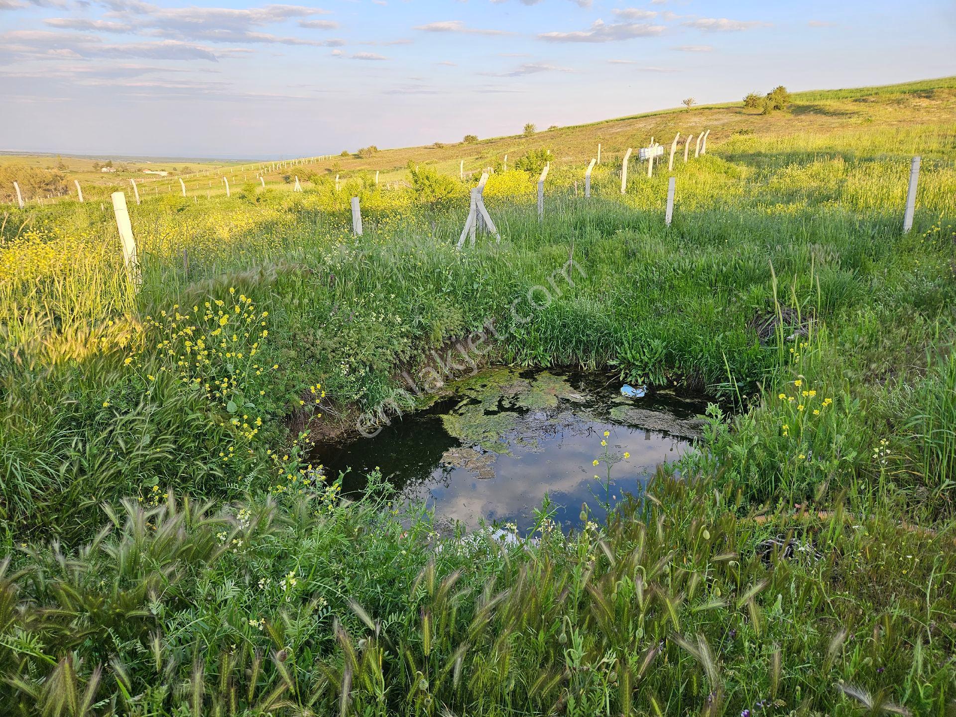 Sevgimden Karadere'de Satılık Kurulu Düzen Bahçe - Görsel 12