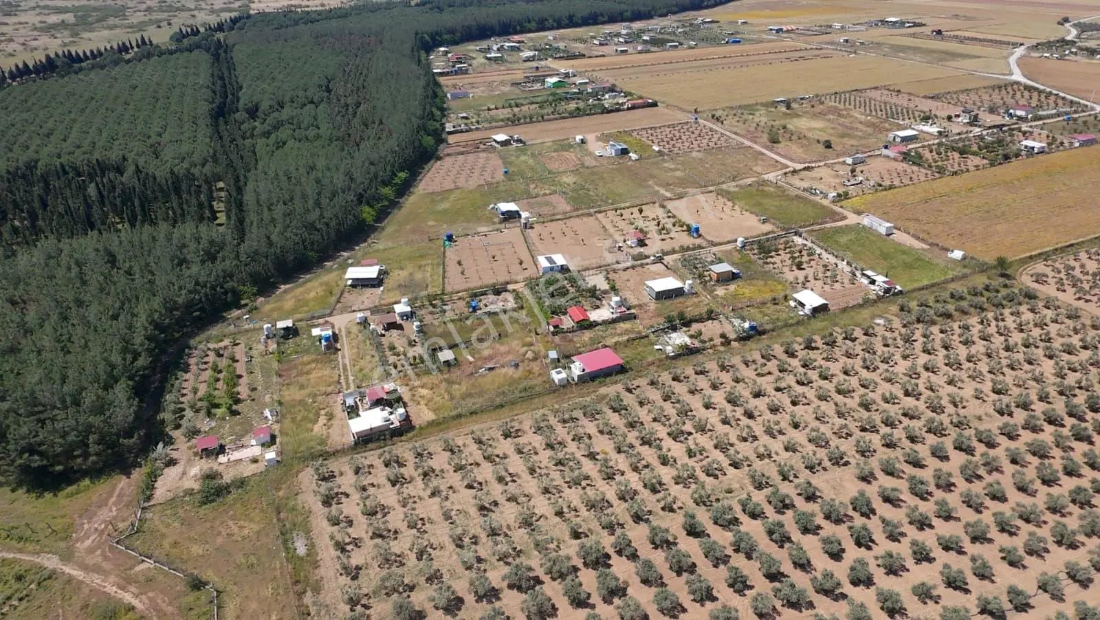 Menderes Bulgurca'da 212 M2 Hayalinizdeki Hobi Bahçesi İçin Resmi Tapulu Yer! - Görsel 9