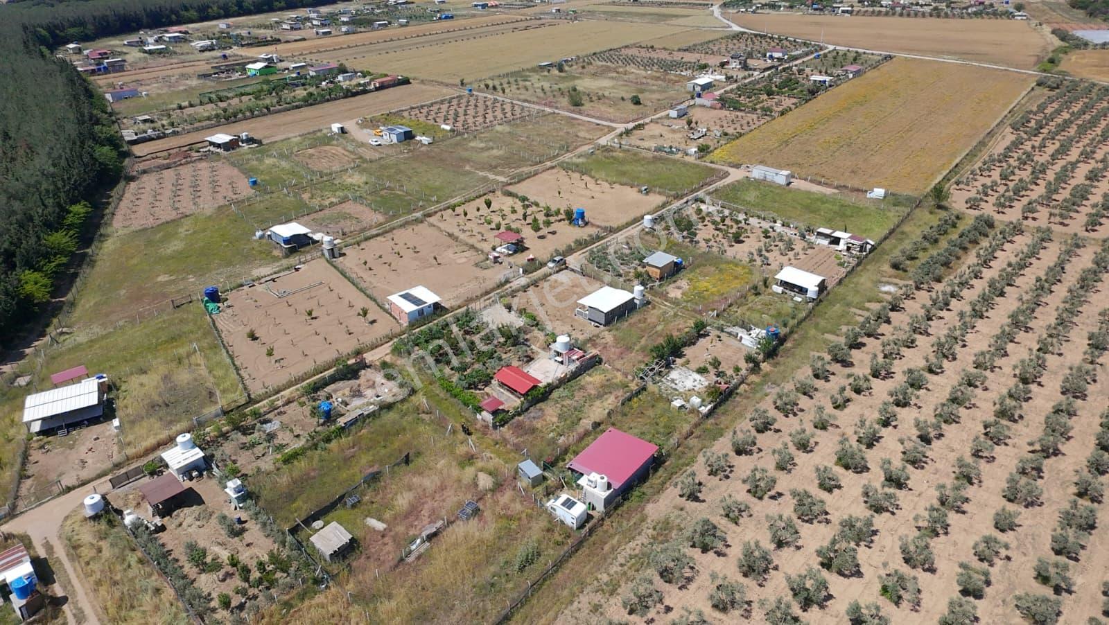 Menderes Bulgurca'da 212 M2 Hayalinizdeki Hobi Bahçesi İçin Resmi Tapulu Yer! - Görsel 8
