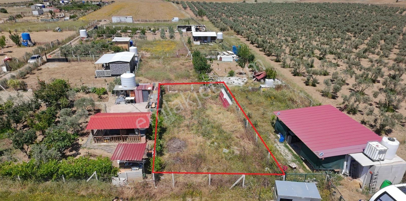 Menderes Bulgurca'da 212 M2 Hayalinizdeki Hobi Bahçesi İçin Resmi Tapulu Yer!