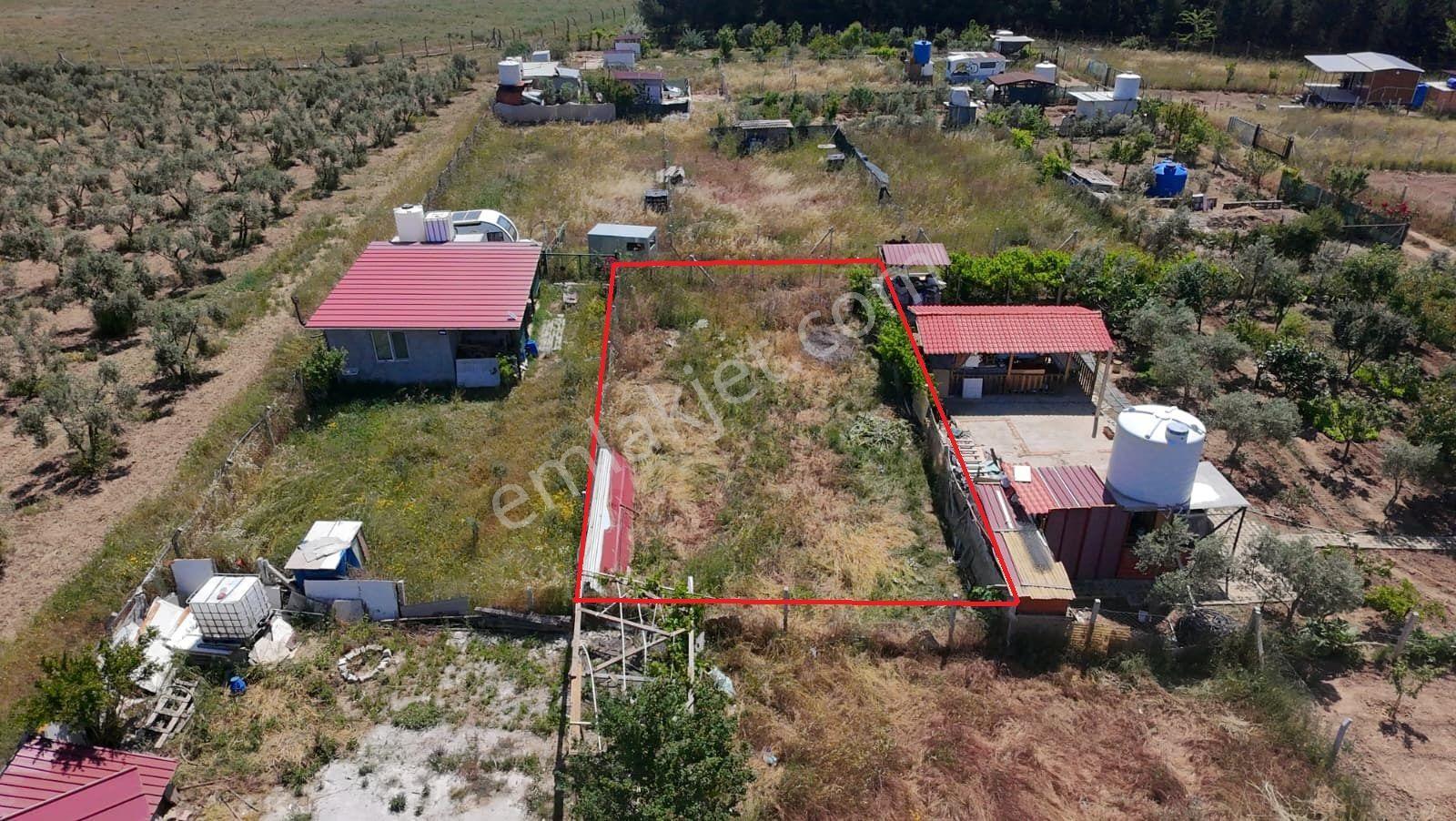Menderes Bulgurca'da 212 M2 Hayalinizdeki Hobi Bahçesi İçin Resmi Tapulu Yer! - Görsel 4