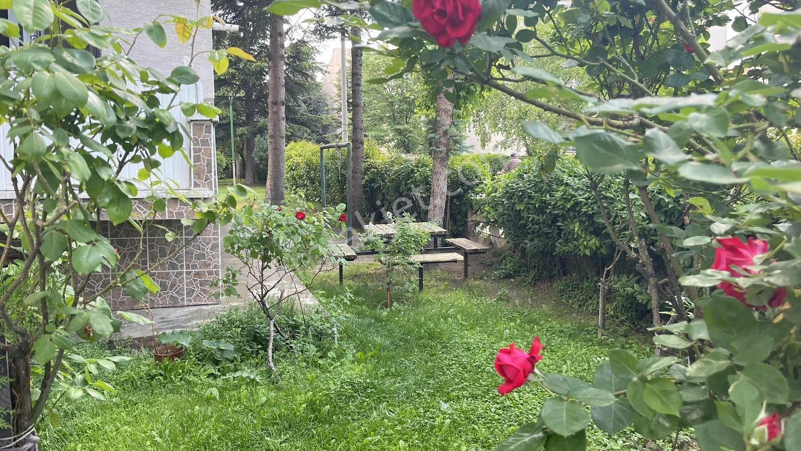 Doğa City Den Satılık Ertuğrulgazi Raykent Blokları 3+1 Daire... - Görsel 2