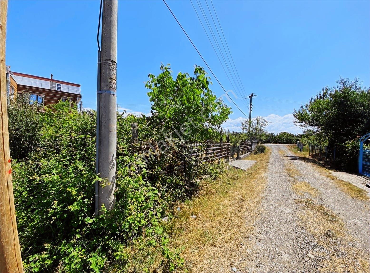Paşa Ormanı Villa İmarlı Arsa Yola Cephe - Görsel 19