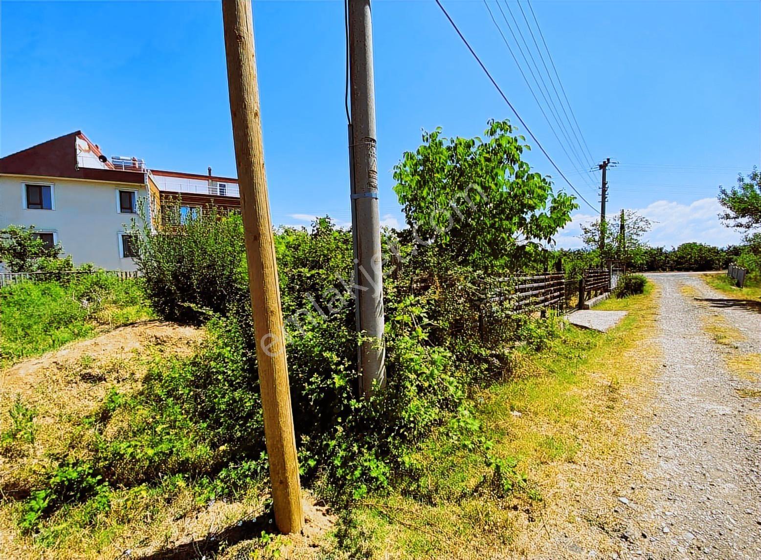 Paşa Ormanı Villa İmarlı Arsa Yola Cephe - Görsel 16