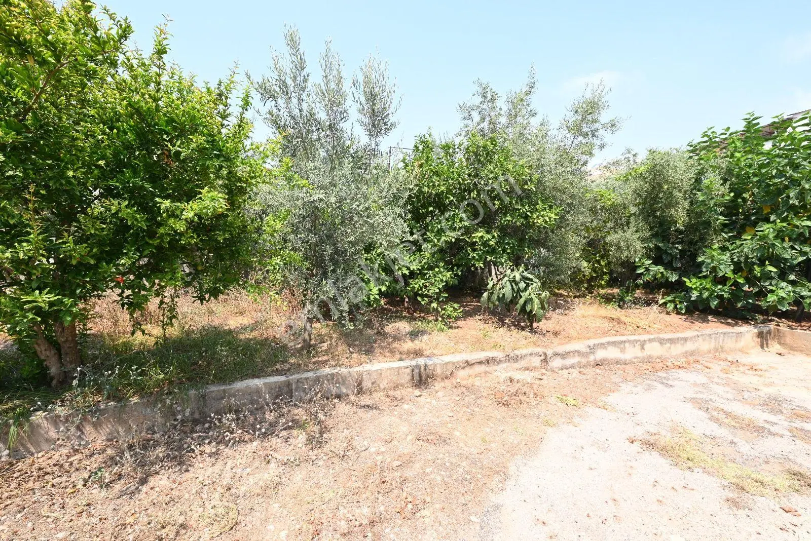 Üstünkent Emlak'tan Müstakil 1+1 Eşyalı Kiralık Daire - Görsel 3