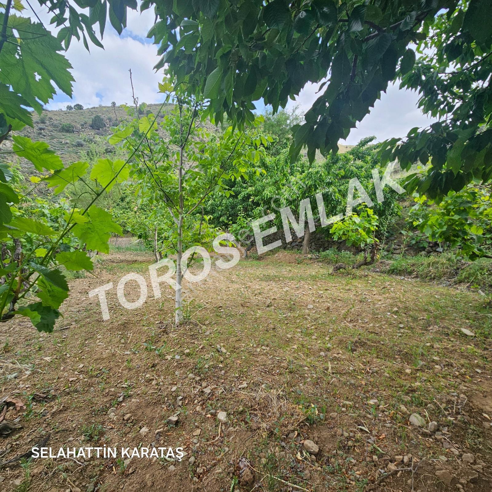 Toros Emlak'tan Çifteköy'de 1278 M2 Ana Yol Üstü Bahçe Satılık - Görsel 8