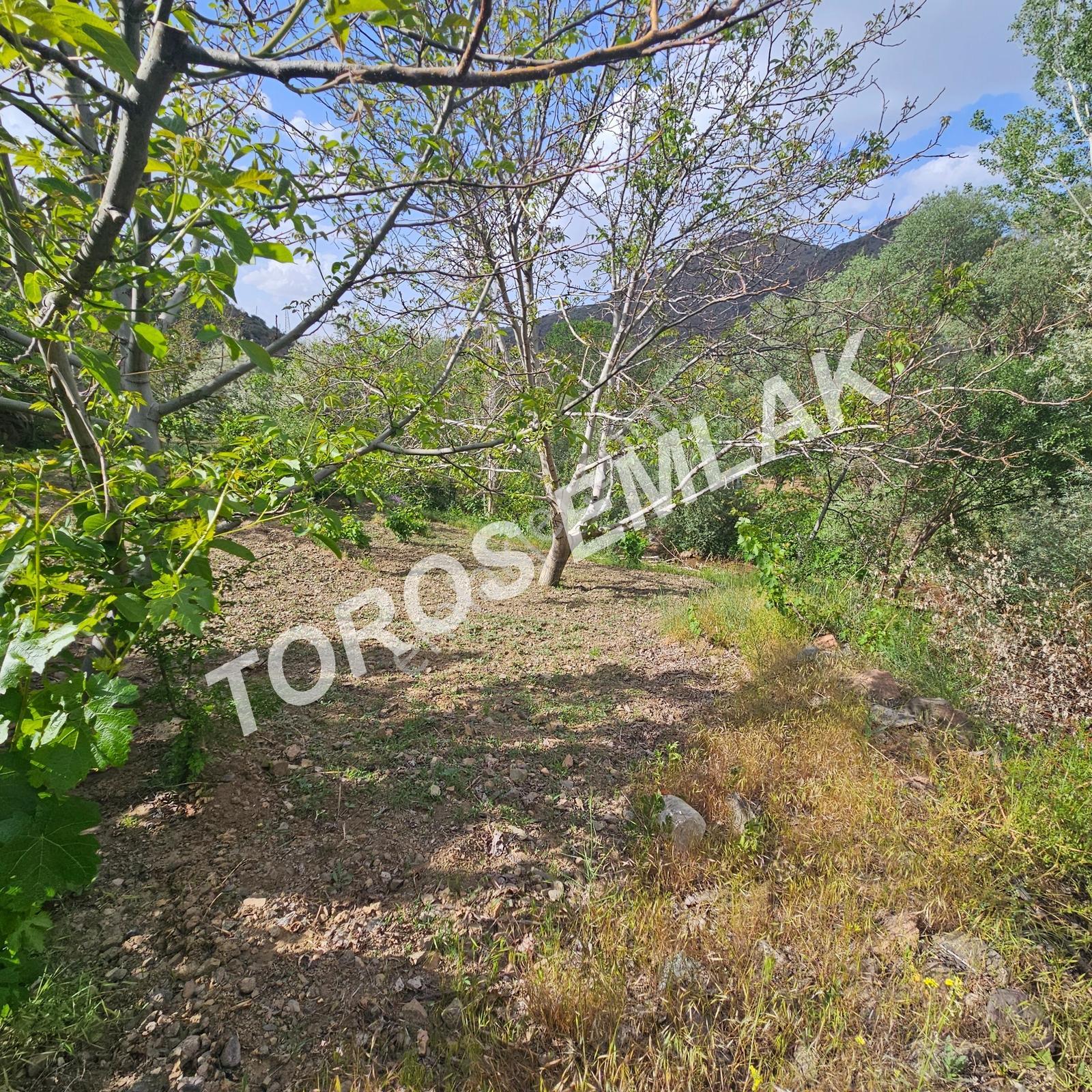 Toros Emlak'tan Çifteköy'de 1278 M2 Ana Yol Üstü Bahçe Satılık - Görsel 4