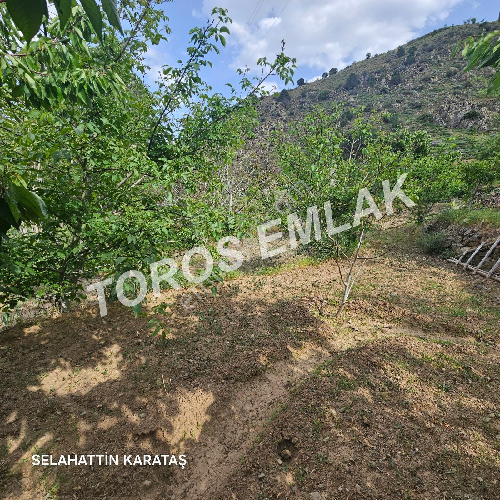 Toros Emlak'tan Çifteköy'de 1278 M2 Ana Yol Üstü Bahçe Satılık