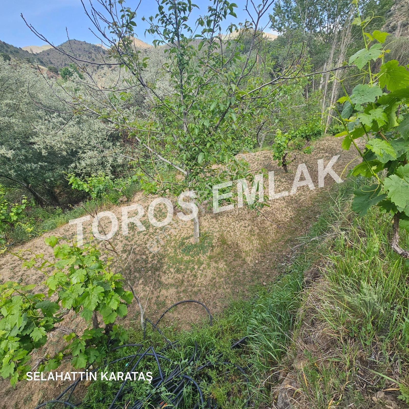 Toros Emlak'tan Çifteköy'de 1278 M2 Ana Yol Üstü Bahçe Satılık - Görsel 10