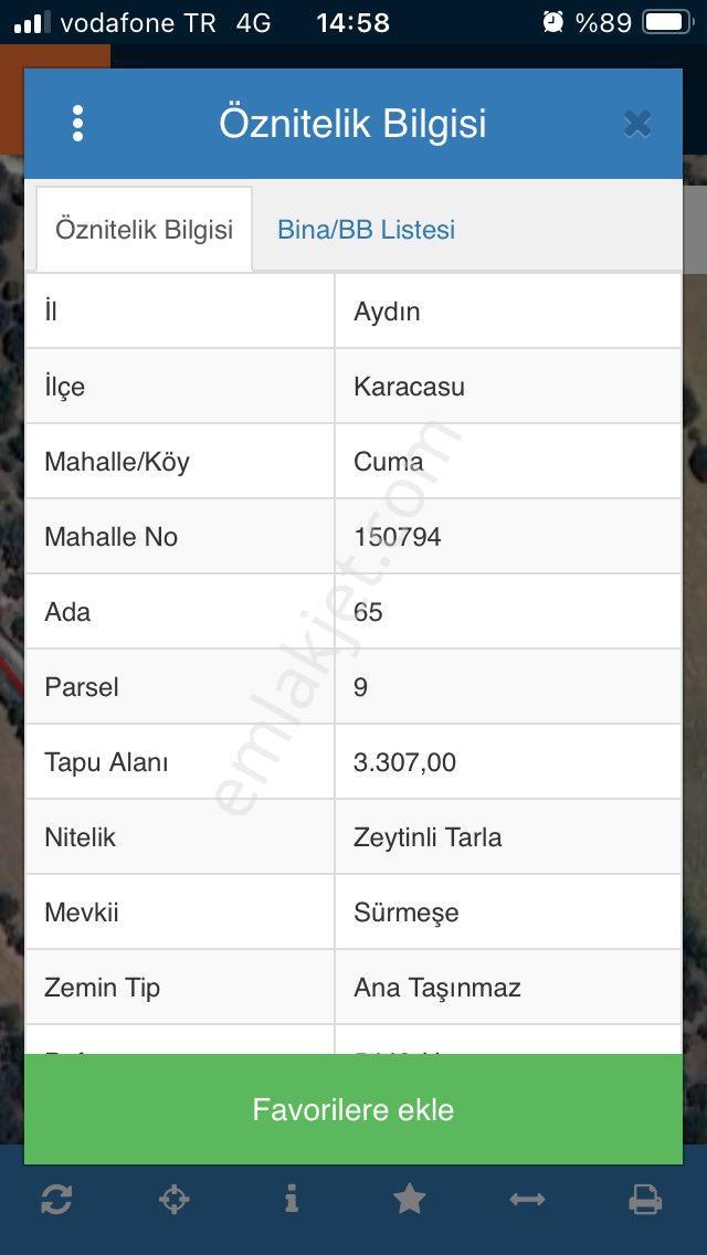 Karacasu Yakını Zeytin Bahçesi - Görsel 8
