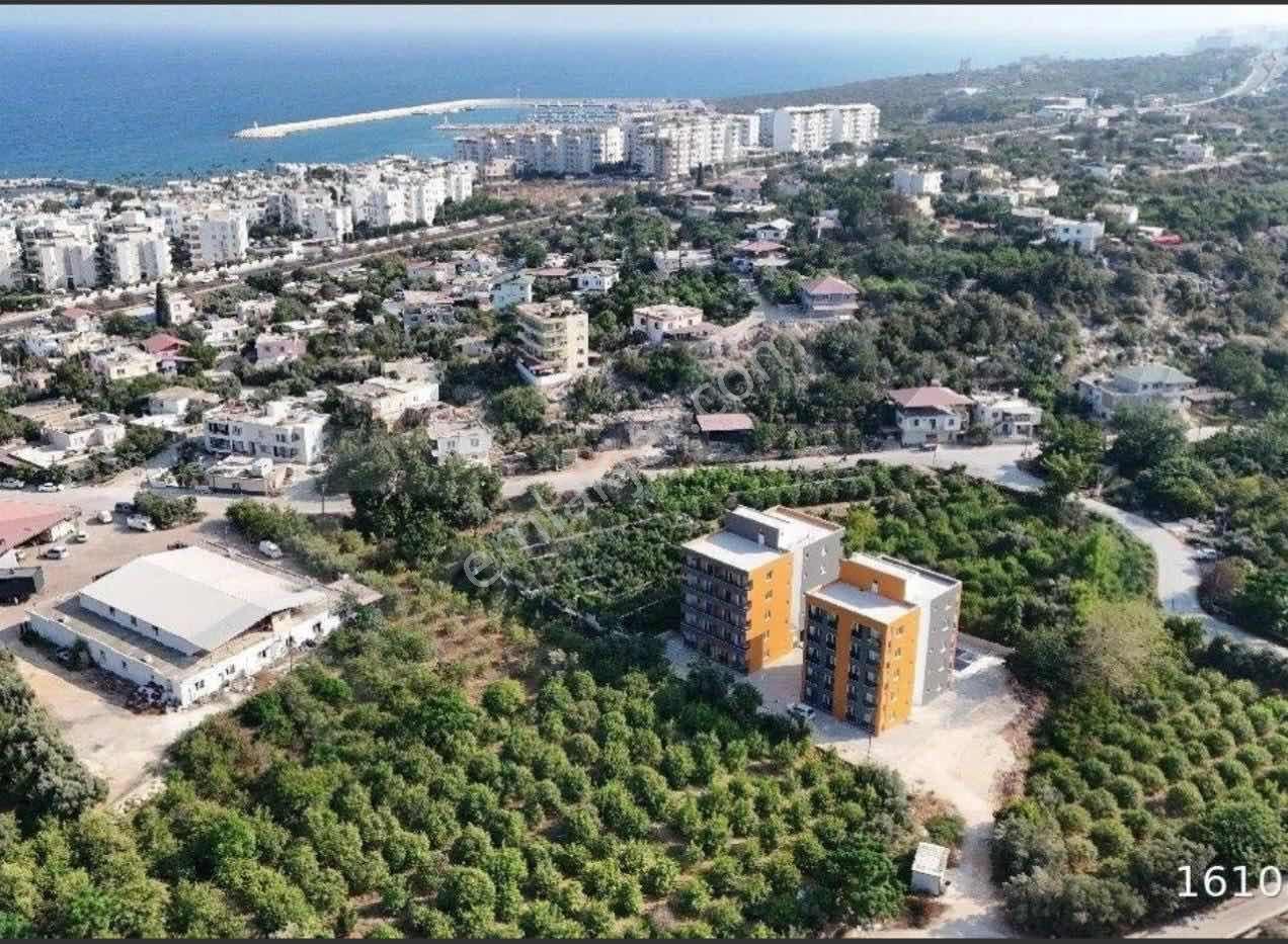 Tırtar'da 1+1 Ara Kat Eşyalı Daire Fırsatı