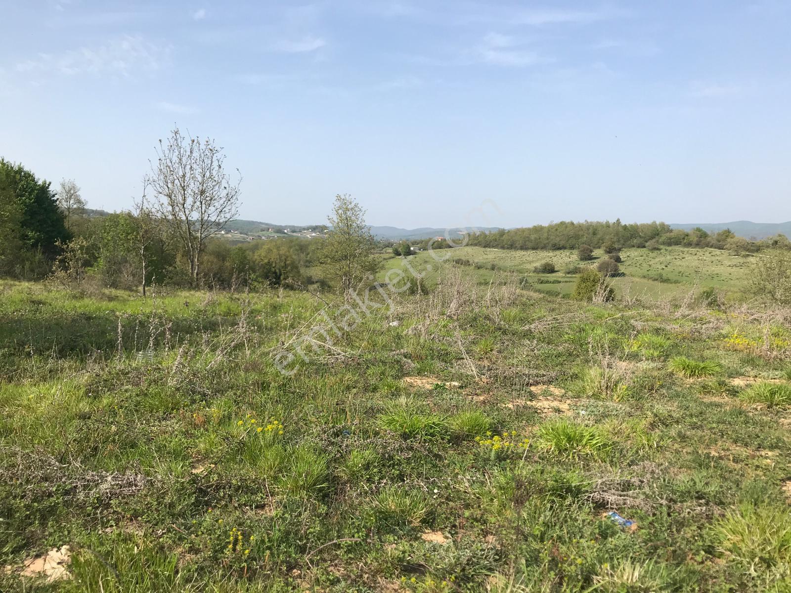 Satılık 4612m² Çiftlik Kurmaya Uygun Arazi - Görsel 12