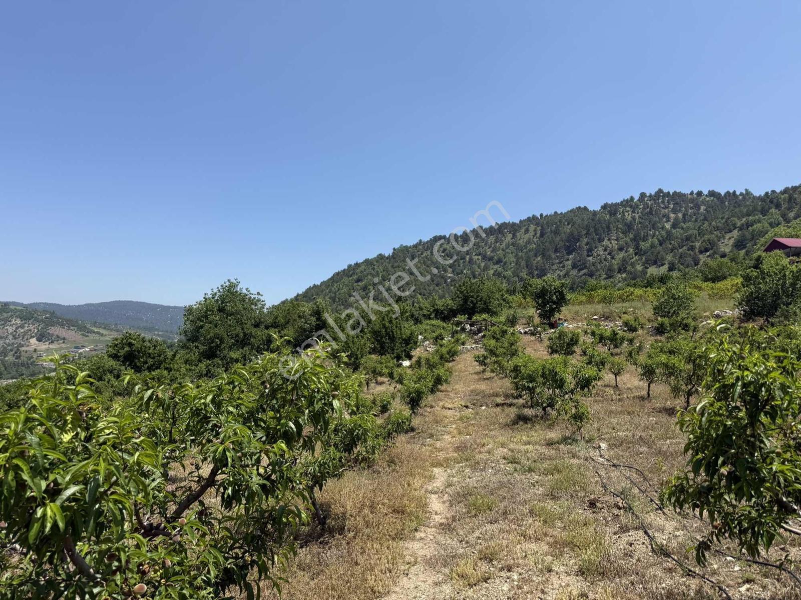 Bolkar Emlak'tan Yavca Merkezde 950 M² 2 Kat İmarlı Fırsat Arsa - Görsel 23