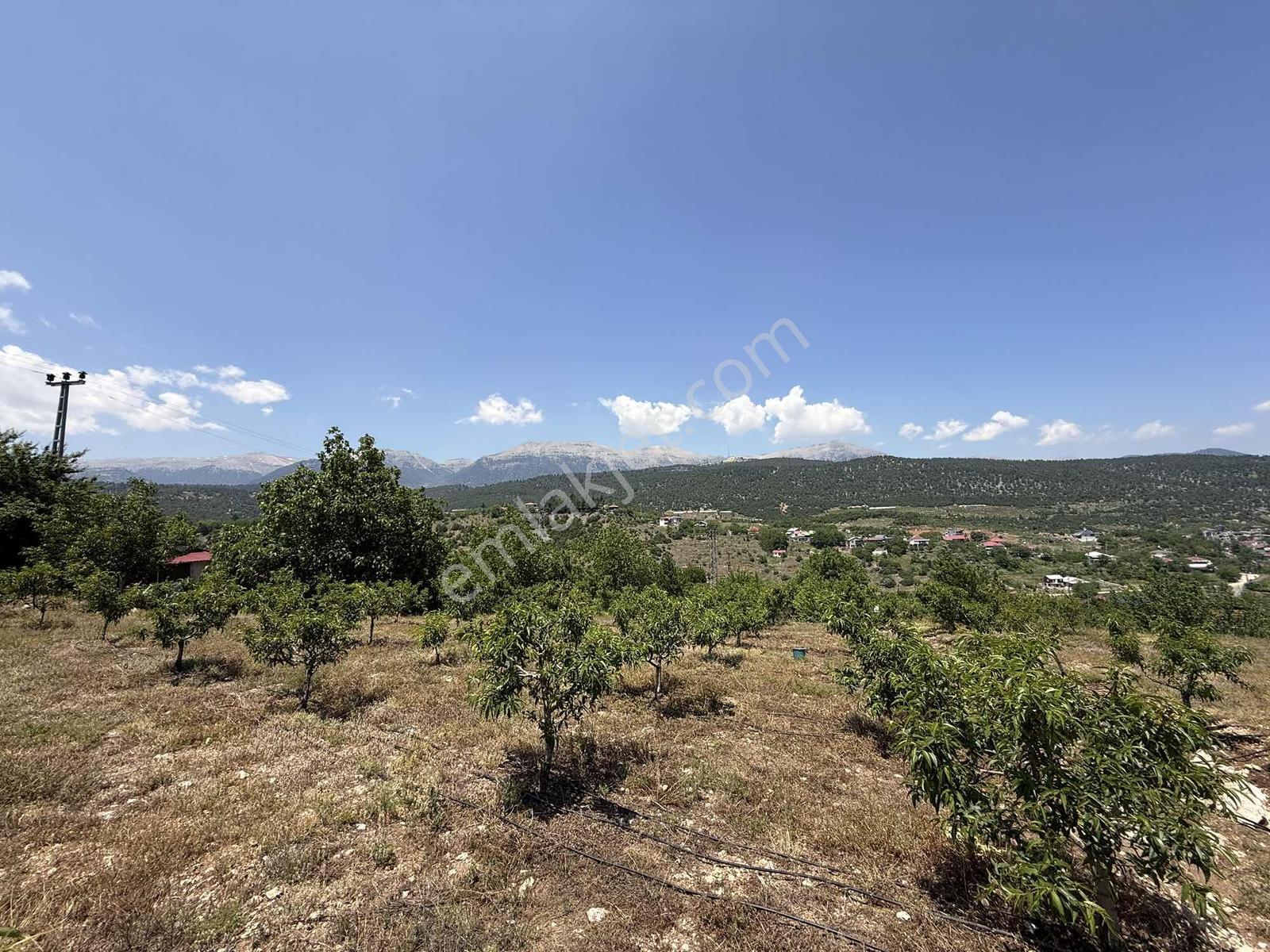 Bolkar Emlak'tan Yavca Merkezde 950 M² 2 Kat İmarlı Fırsat Arsa - Görsel 20