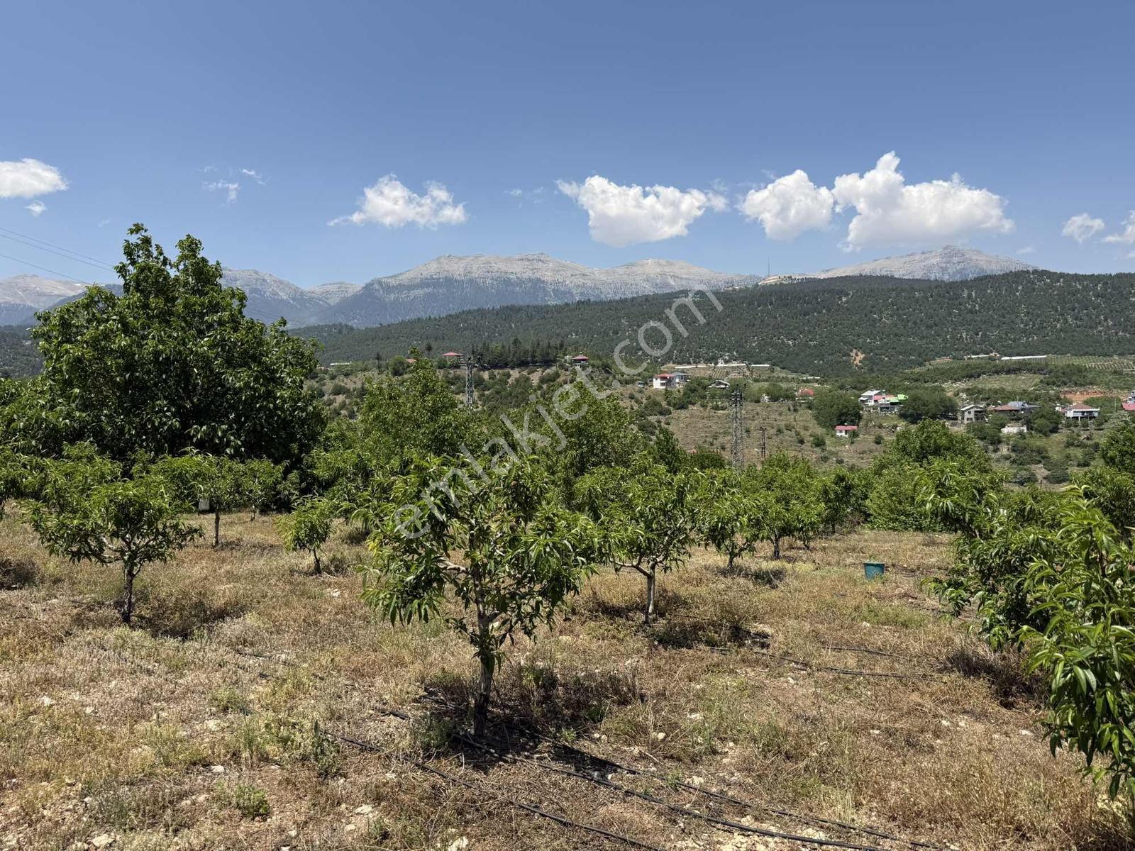 Bolkar Emlak'tan Yavca Merkezde 950 M² 2 Kat İmarlı Fırsat Arsa - Görsel 12