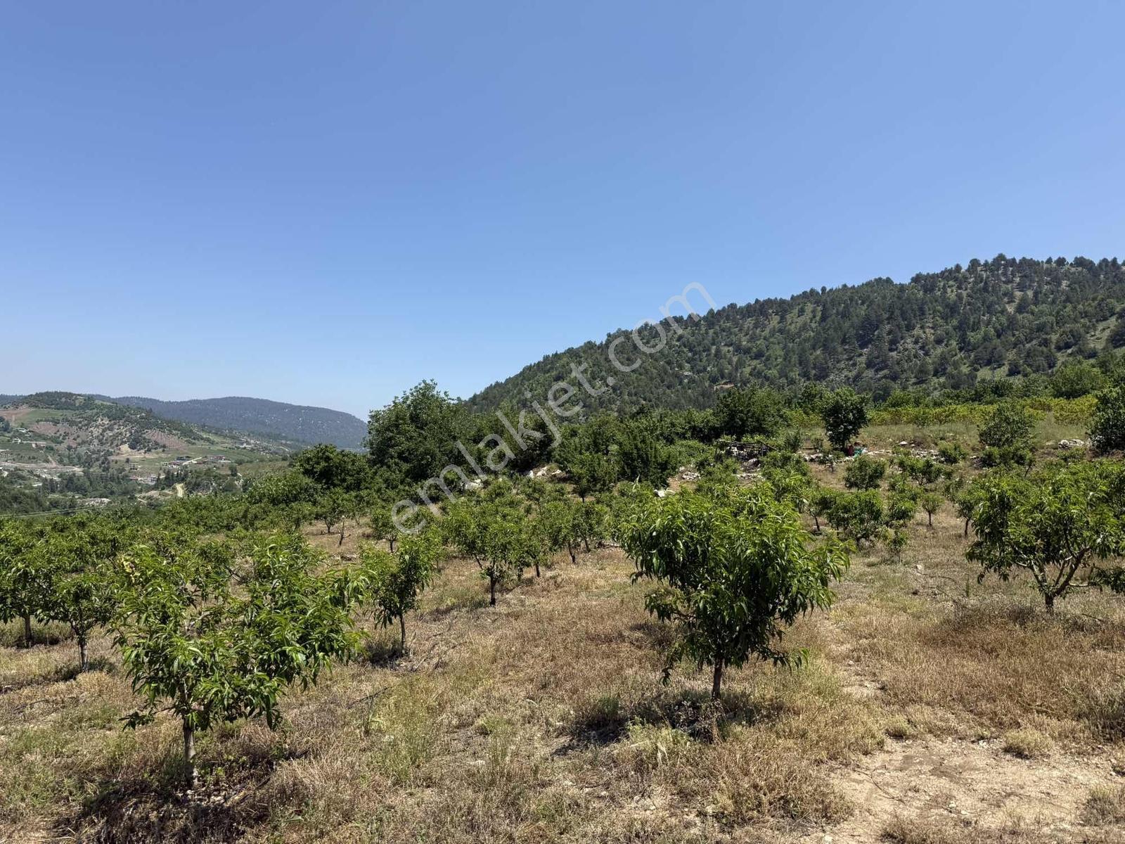 Bolkar Emlak'tan Yavca Merkezde 950 M² 2 Kat İmarlı Fırsat Arsa - Görsel 24