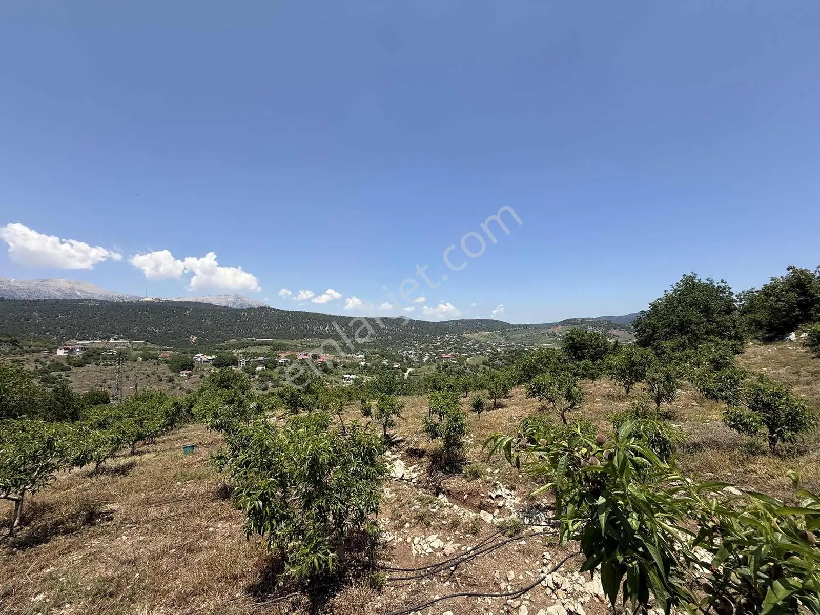 Bolkar Emlak'tan Yavca Merkezde 950 M² 2 Kat İmarlı Fırsat Arsa