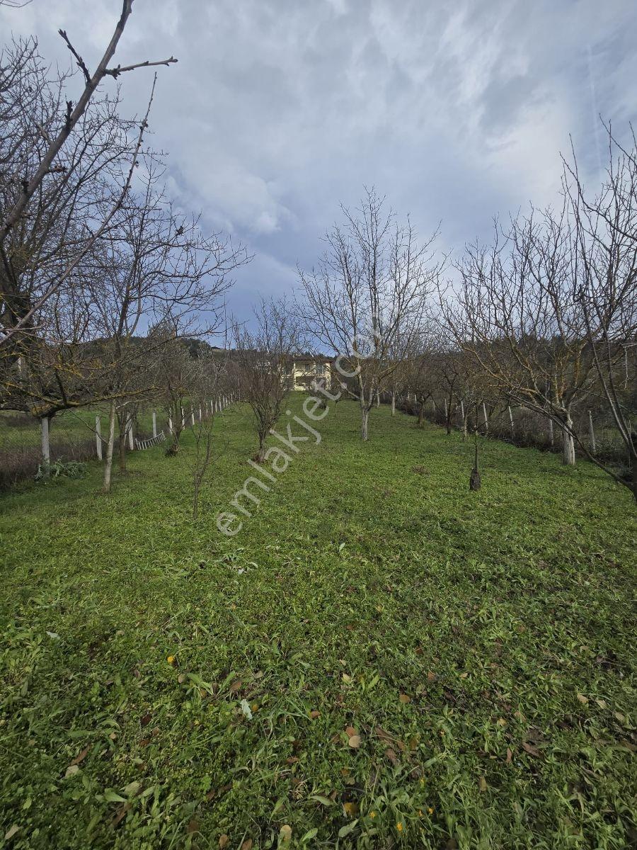 Sakarya Geyve 1400 M2 Villa - Görsel 4