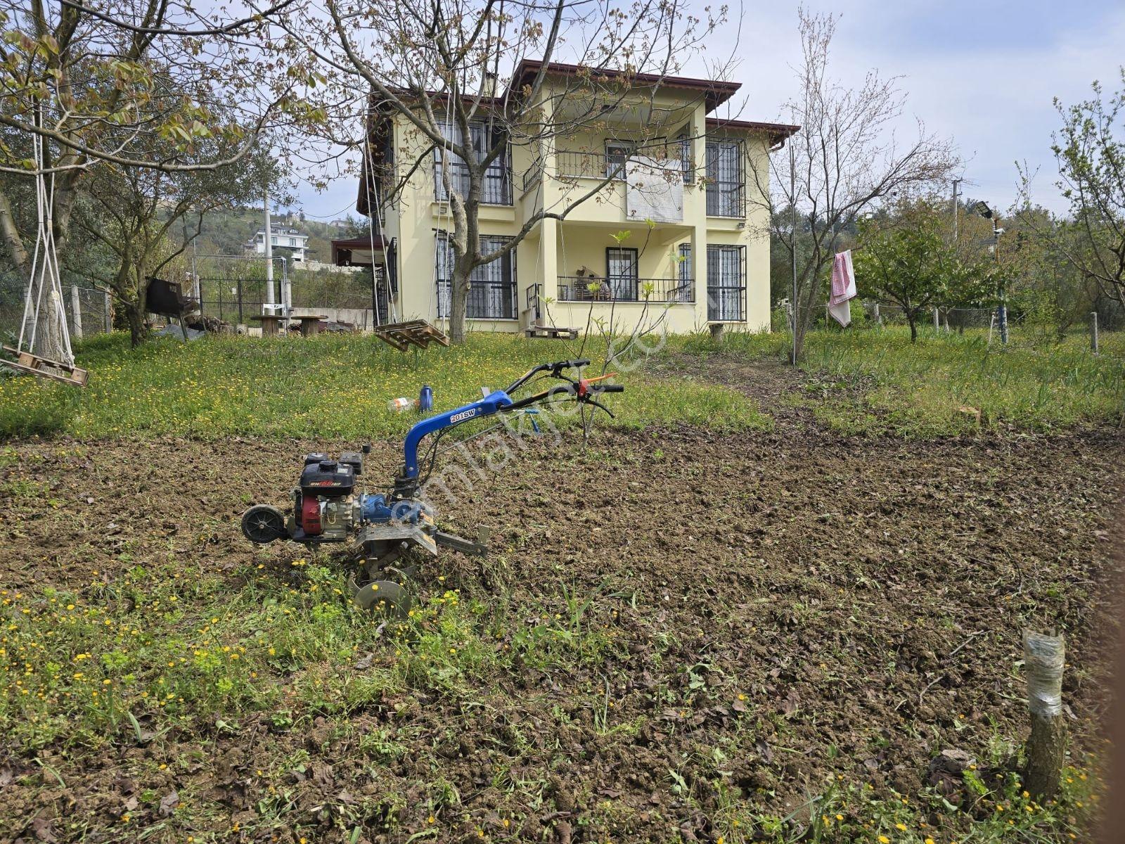 Sakarya Geyve 1400 M2 Villa - Görsel 2
