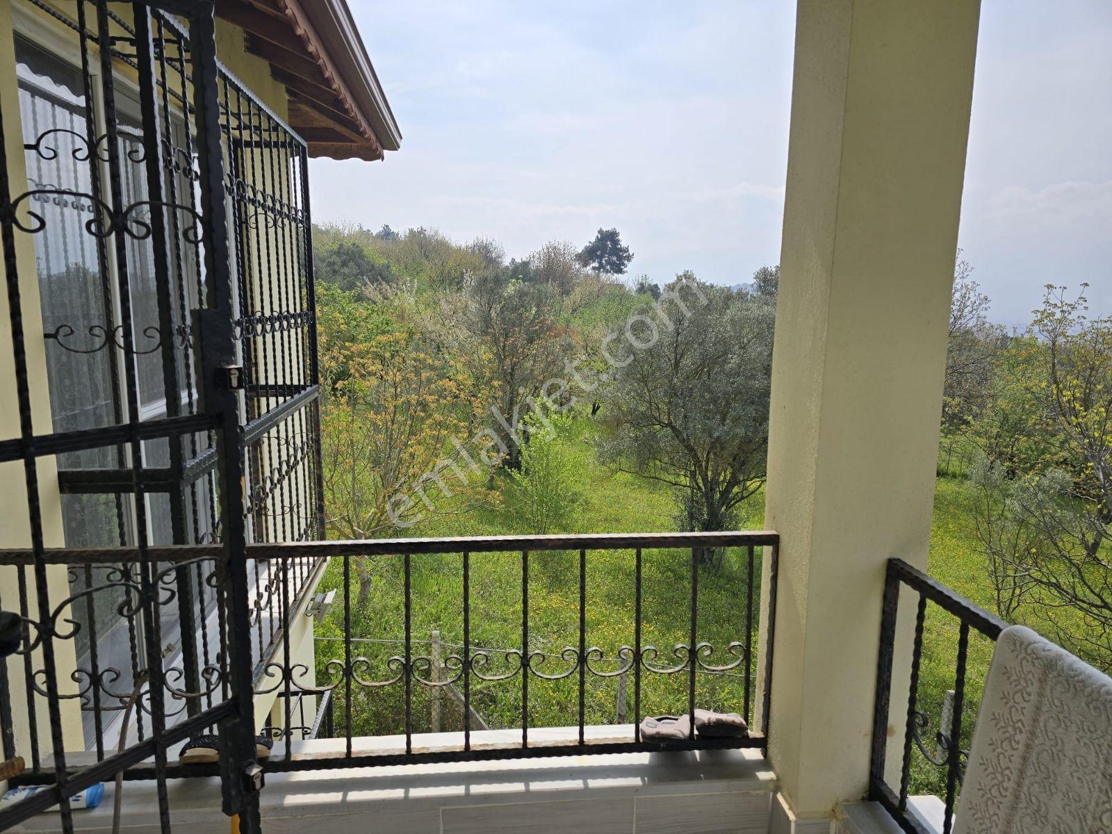 Sakarya Geyve 1400 M2 Villa - Görsel 6