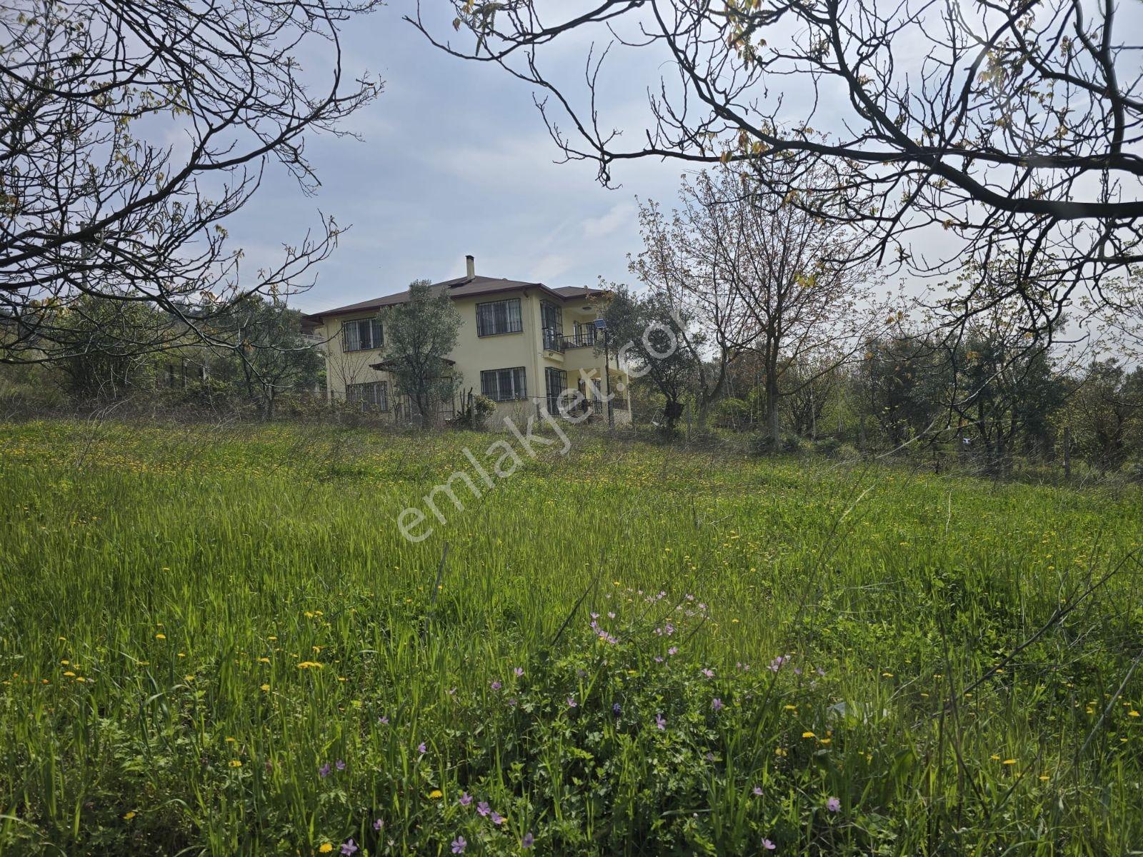 Sakarya Geyve 1400 M2 Villa - Görsel 20