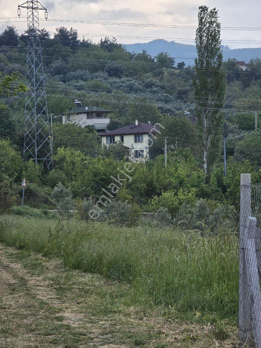 Sakarya Geyve 1400 M2 Villa - Görsel 21