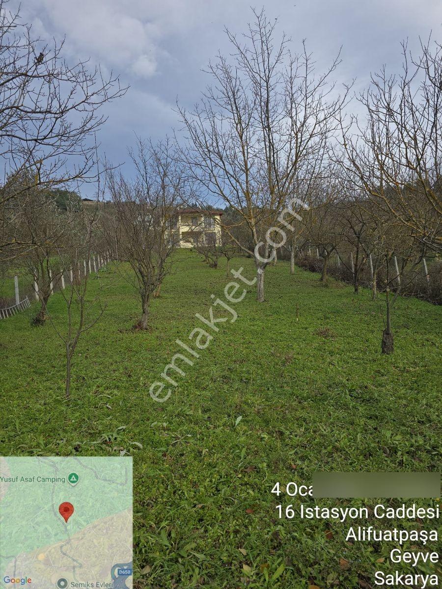 Sakarya Geyve 1400 M2 Villa - Görsel 3