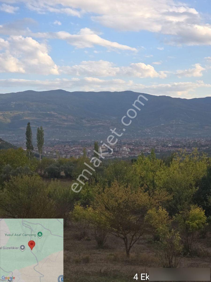 Sakarya Geyve 1400 M2 Villa - Görsel 5