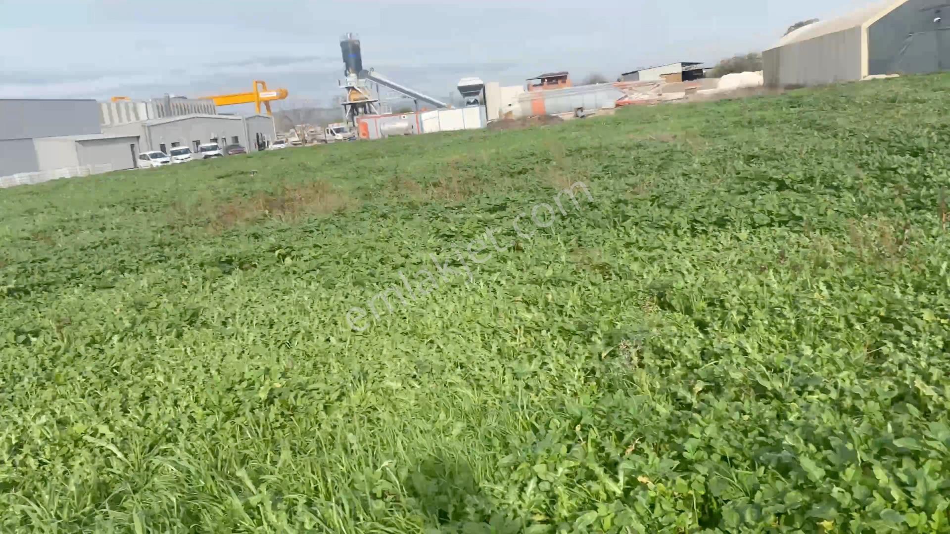 Sanayi Gelişim Aksında Fabrika Bitişiği 8763 M² Tek Parselvv - Görsel 3