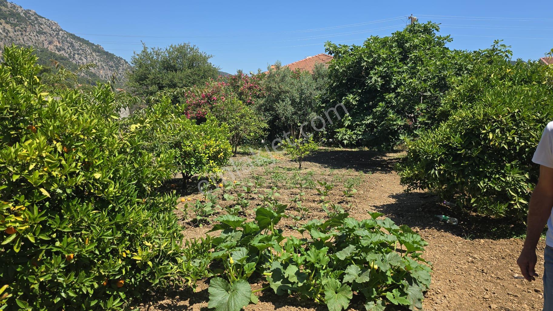 Stop’tan Göcek’te Doğa İle İç İçe, Villalar Bölgesinde 518 M² Takasa Uygun Arsa - Görsel 4