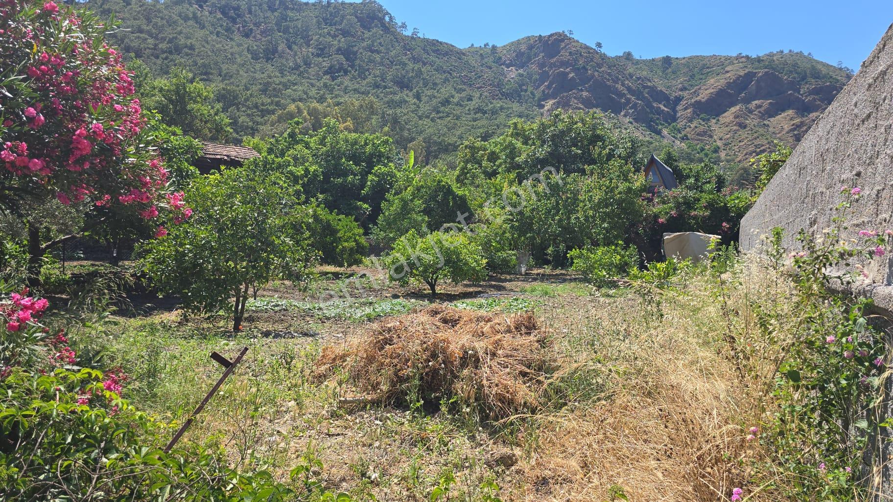 Stop’tan Göcek’te Doğa İle İç İçe, Villalar Bölgesinde 518 M² Takasa Uygun Arsa - Görsel 2