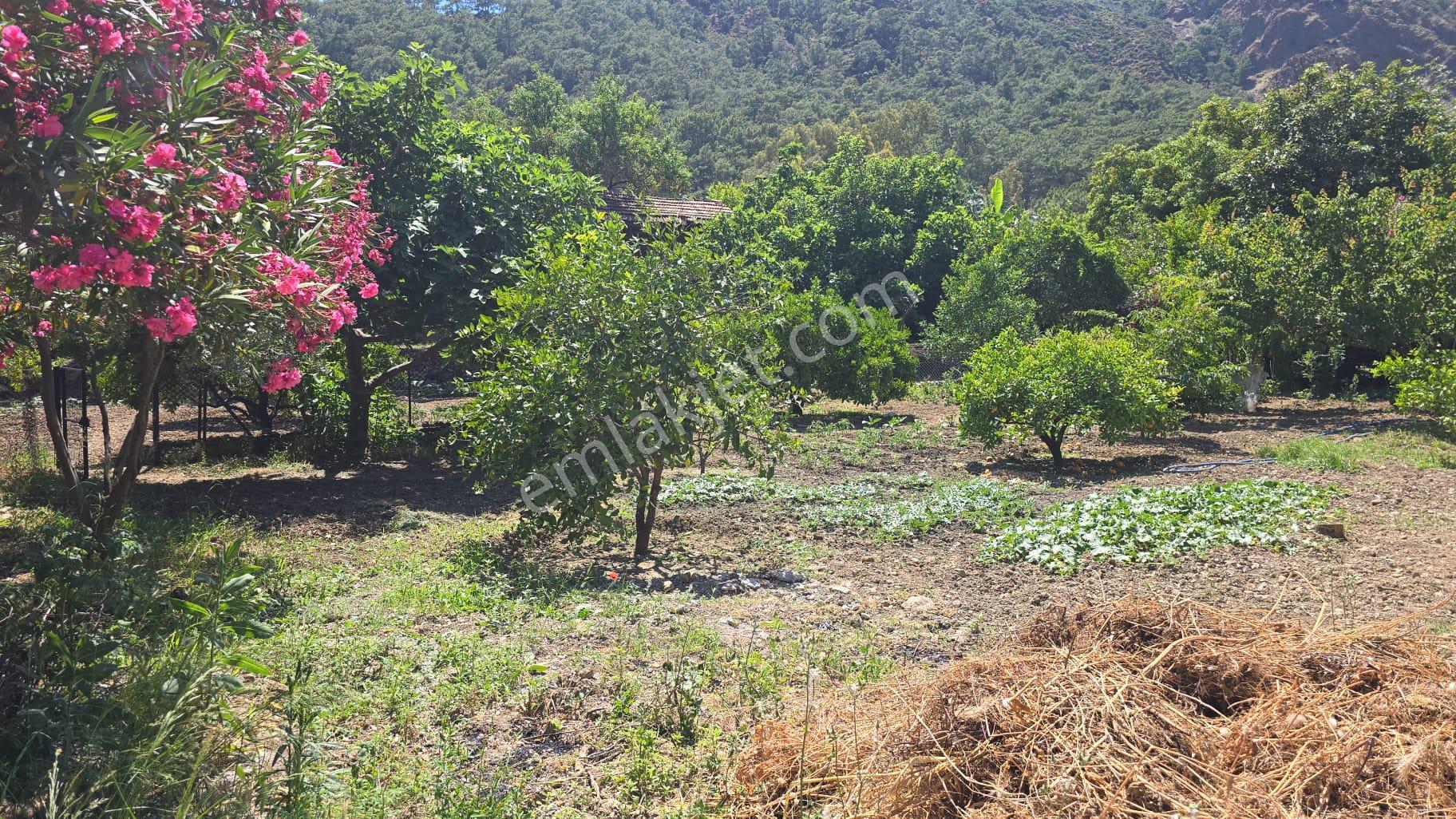Stop’tan Göcek’te Doğa İle İç İçe, Villalar Bölgesinde 518 M² Takasa Uygun Arsa - Görsel 7