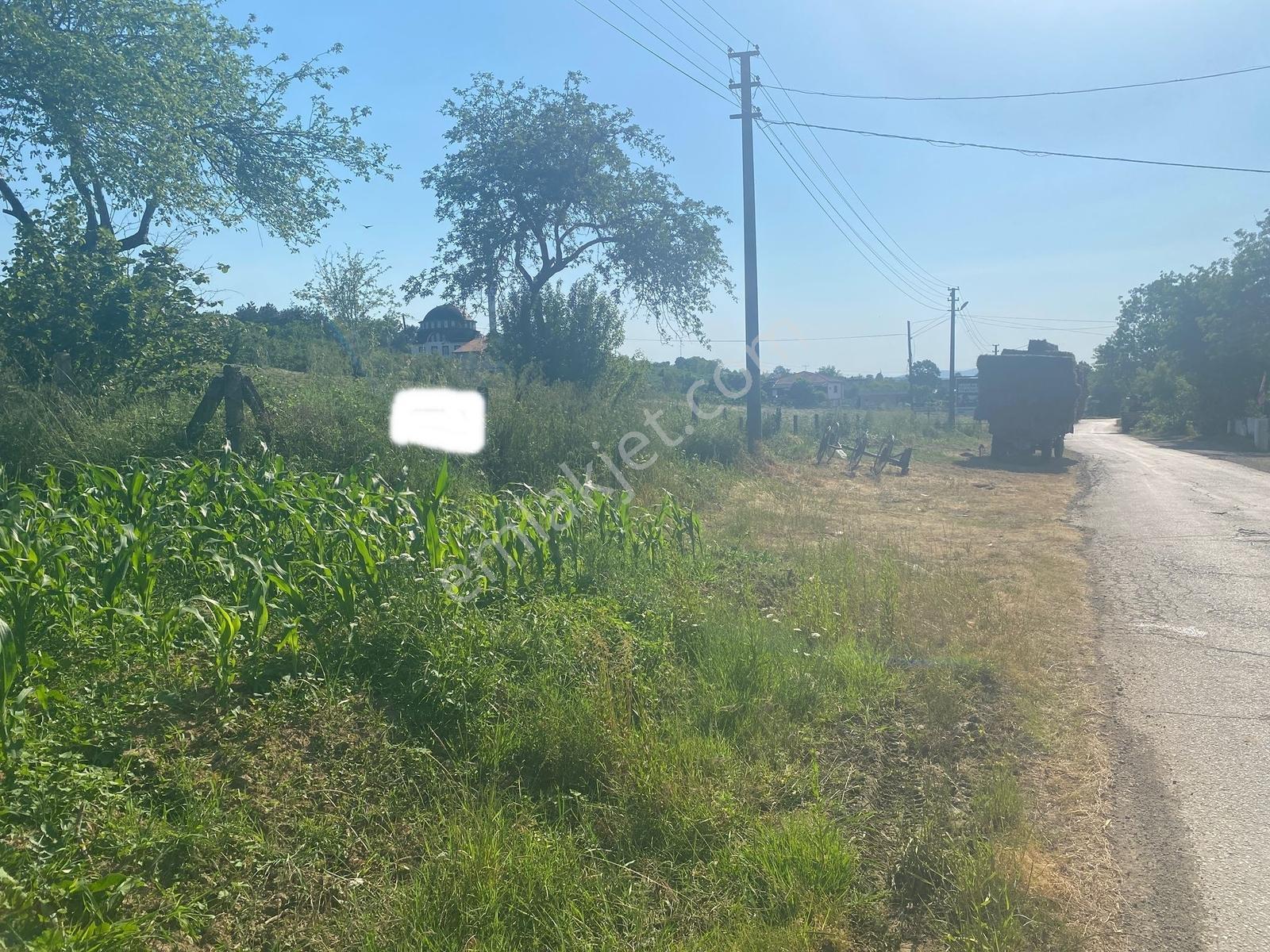Kurumeşede Çift Yol Cepheli Karasu Yolu Dibi 2.242 M İmarlı Arsa - Görsel 10