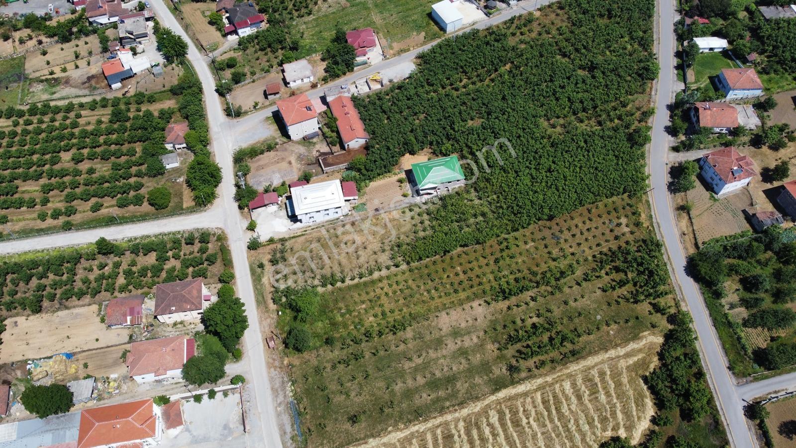 Kurumeşede Çift Yol Cepheli Karasu Yolu Dibi 2.242 M İmarlı Arsa - Görsel 11