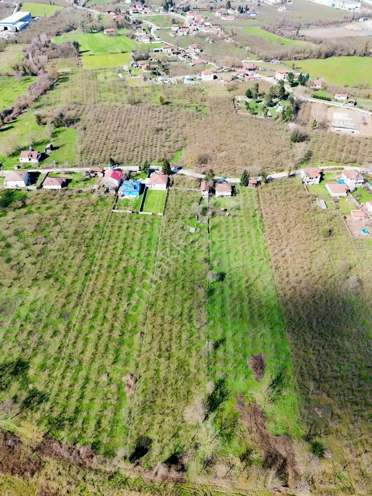Çilimli Söğütlü Mahallesi'nde Satılık Arsa Ve İki Katlı Ev - Görsel 32