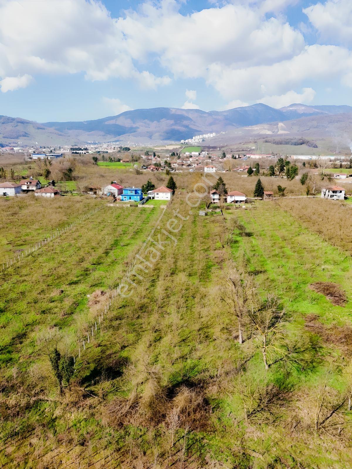 Çilimli Söğütlü Mahallesi'nde Satılık Arsa Ve İki Katlı Ev - Görsel 13