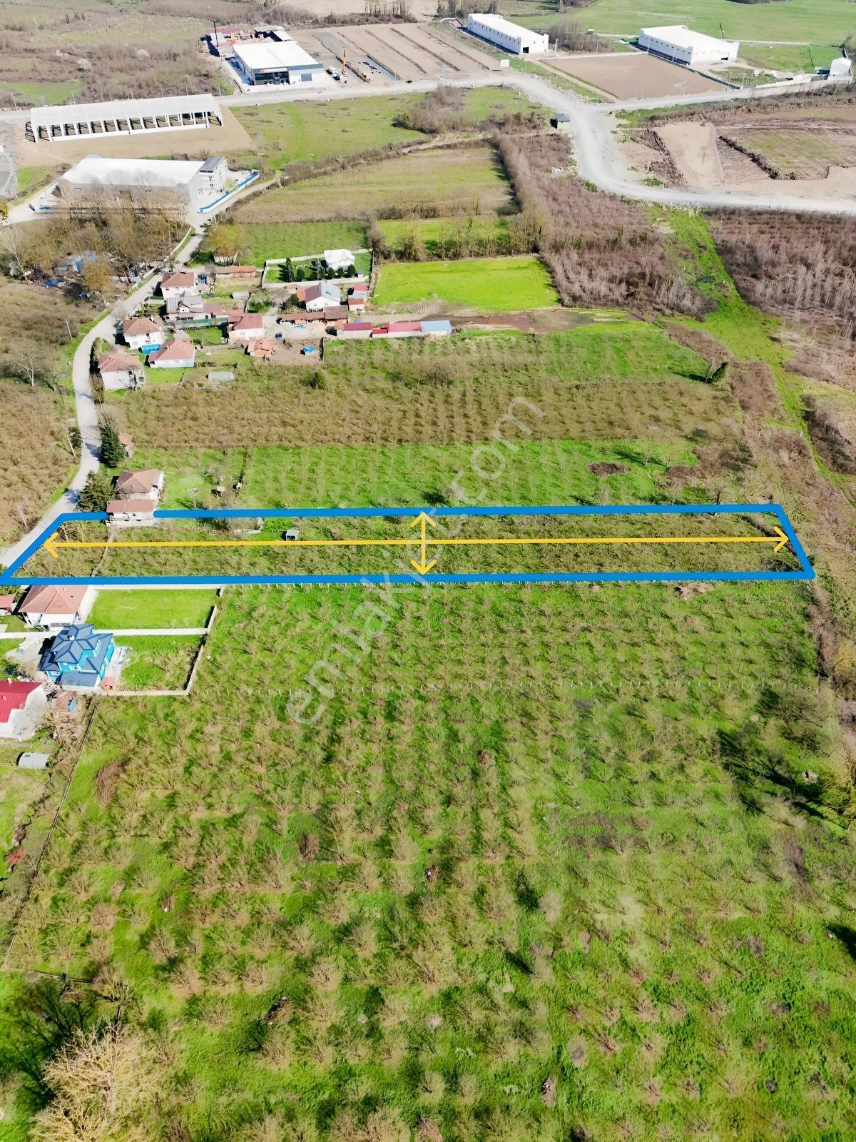 Çilimli Söğütlü Mahallesi'nde Satılık Arsa Ve İki Katlı Ev - Görsel 19